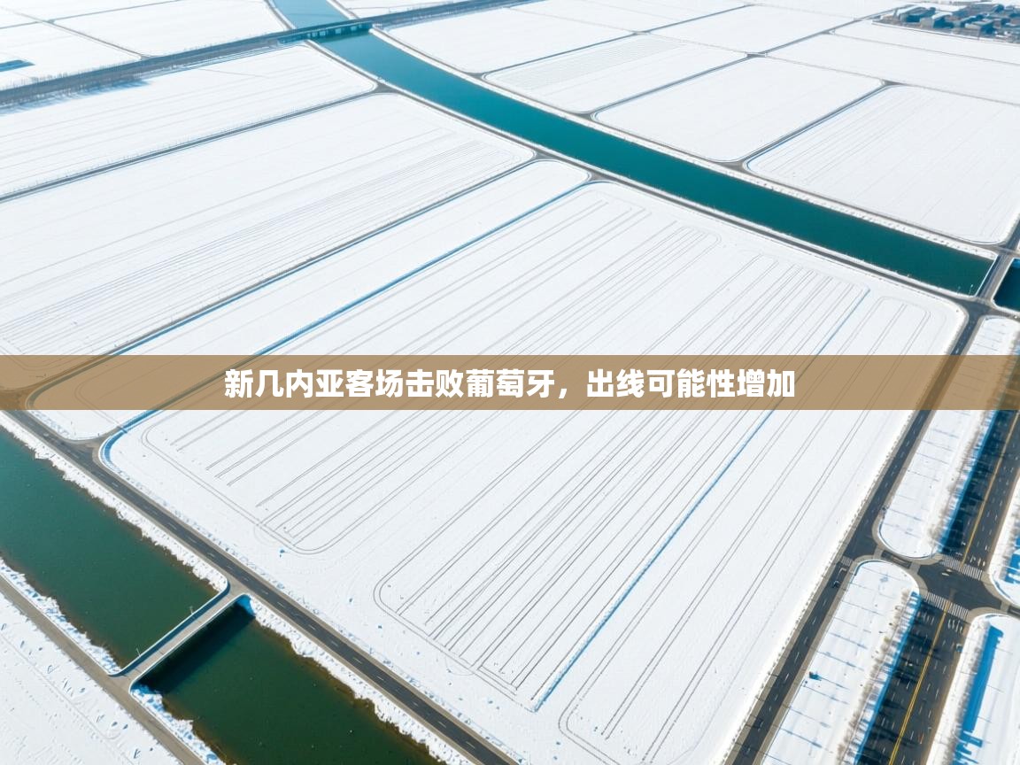 新几内亚客场击败葡萄牙，出线可能性增加  第2张