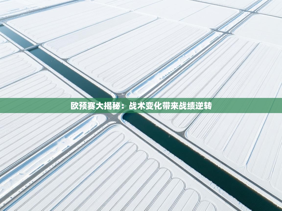 欧预赛大揭秘：战术变化带来战绩逆转