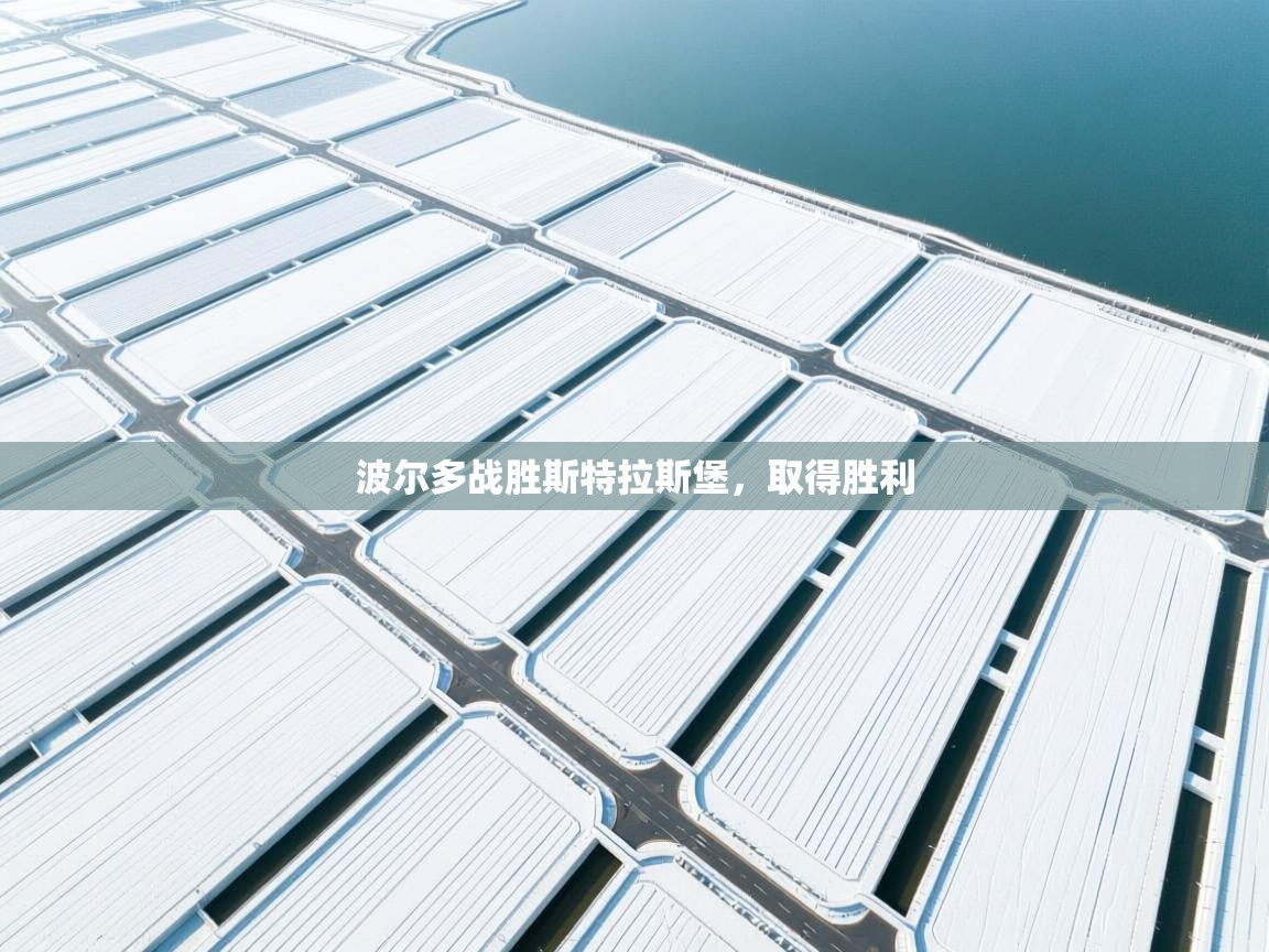 波尔多战胜斯特拉斯堡,取得胜利 第1张