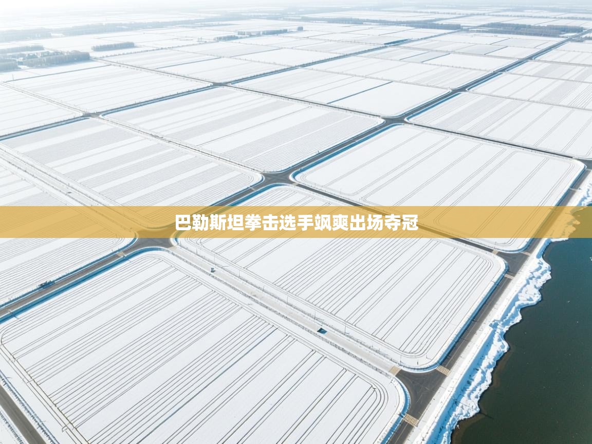 巴勒斯坦拳击选手飒爽出场夺冠