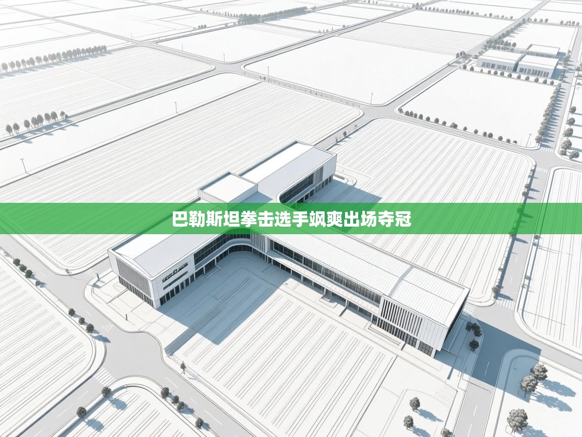 巴勒斯坦拳击选手飒爽出场夺冠  第2张